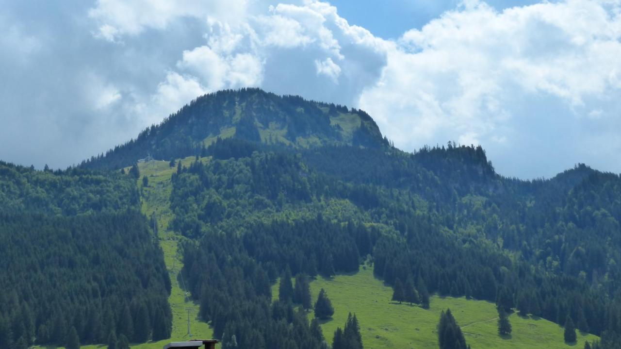Hotel Restaurant Amadeus - Inclusive Skipass Und Vieles Mehr バート・ヒンデラング エクステリア 写真