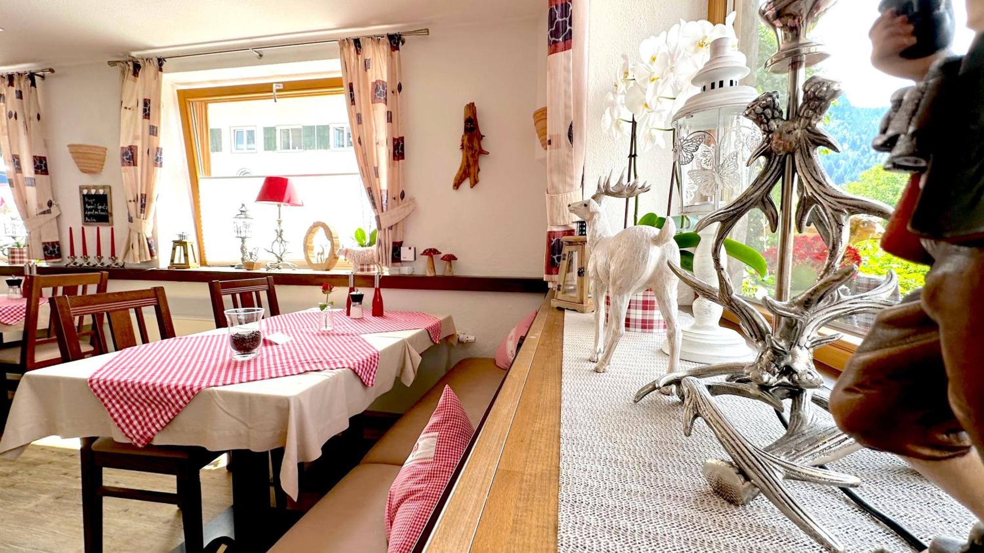 Hotel Restaurant Amadeus - Inclusive Skipass Und Vieles Mehr バート・ヒンデラング エクステリア 写真