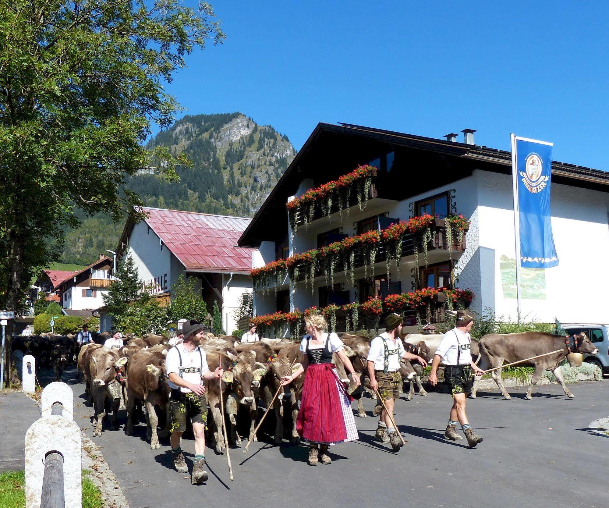 Hotel Restaurant Amadeus - Inclusive Skipass Und Vieles Mehr バート・ヒンデラング エクステリア 写真